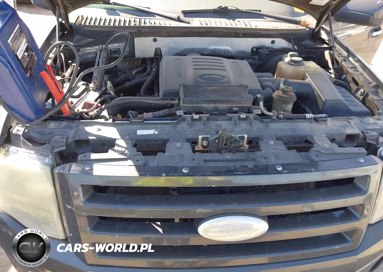 2007 Ford Expedition Limited VIN:1FMFU19597LA33778 - 10