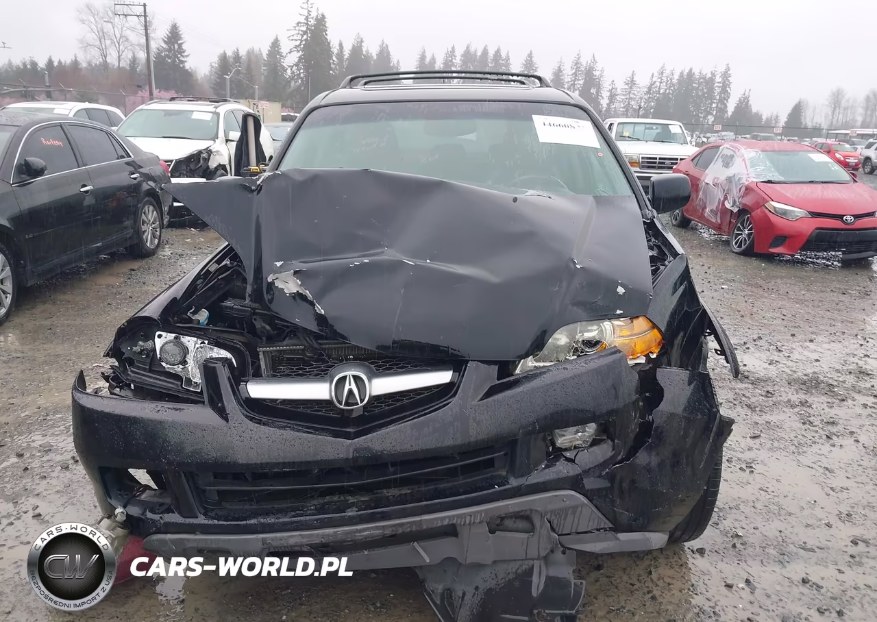 2005 Acura Mdx VIN:2HNYD18955H517159 - 12