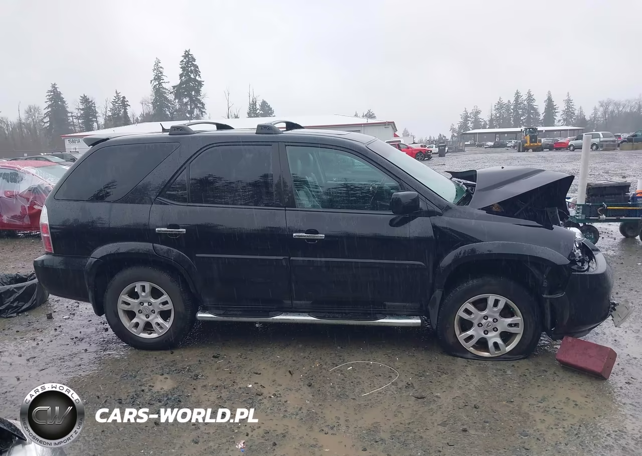2005 Acura Mdx VIN:2HNYD18955H517159 - 13