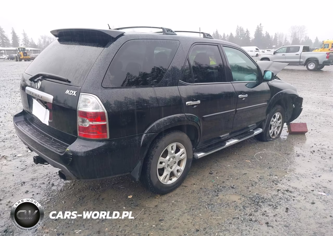 2005 Acura Mdx VIN:2HNYD18955H517159 - 4