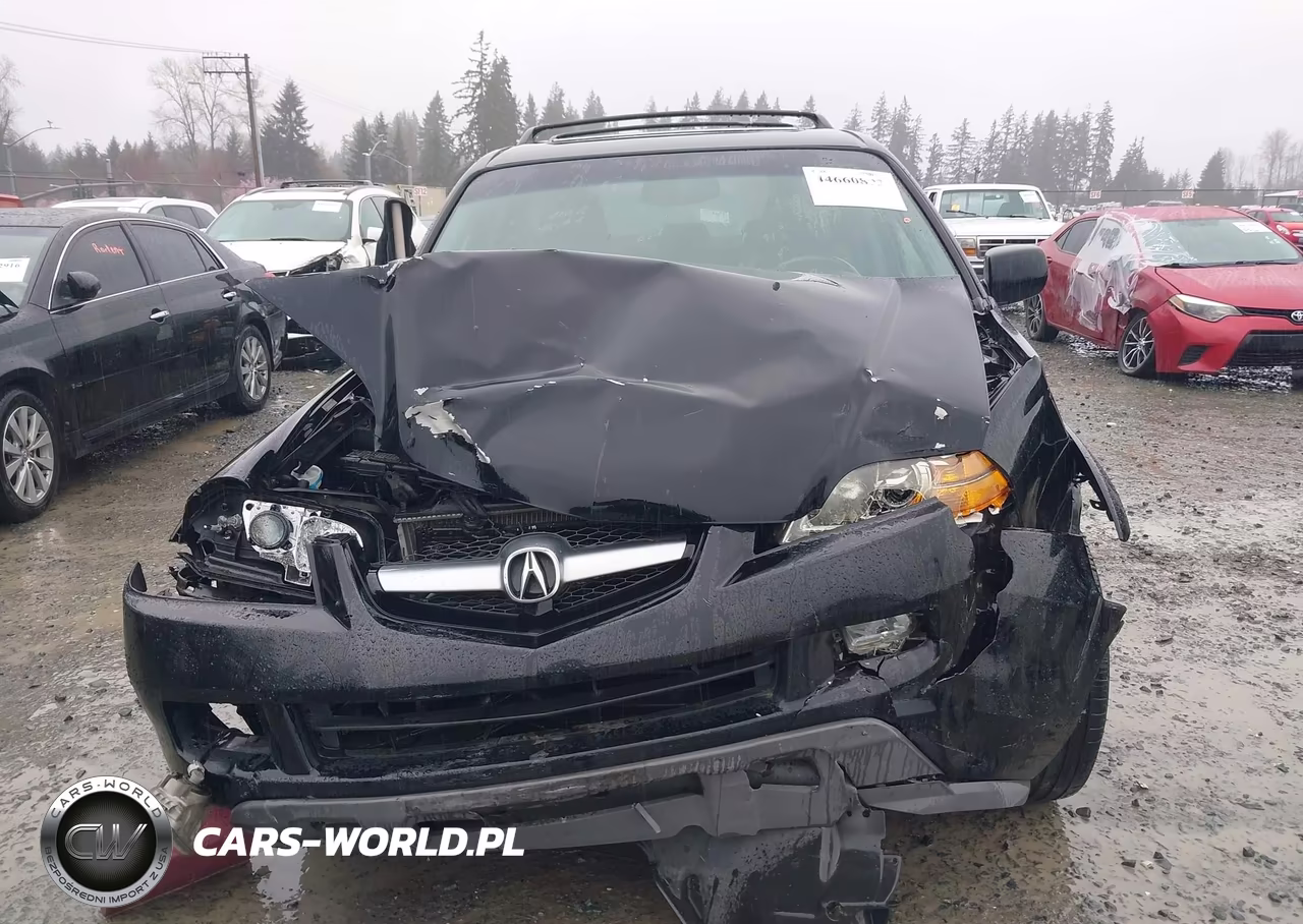 2005 Acura Mdx VIN:2HNYD18955H517159 - 6
