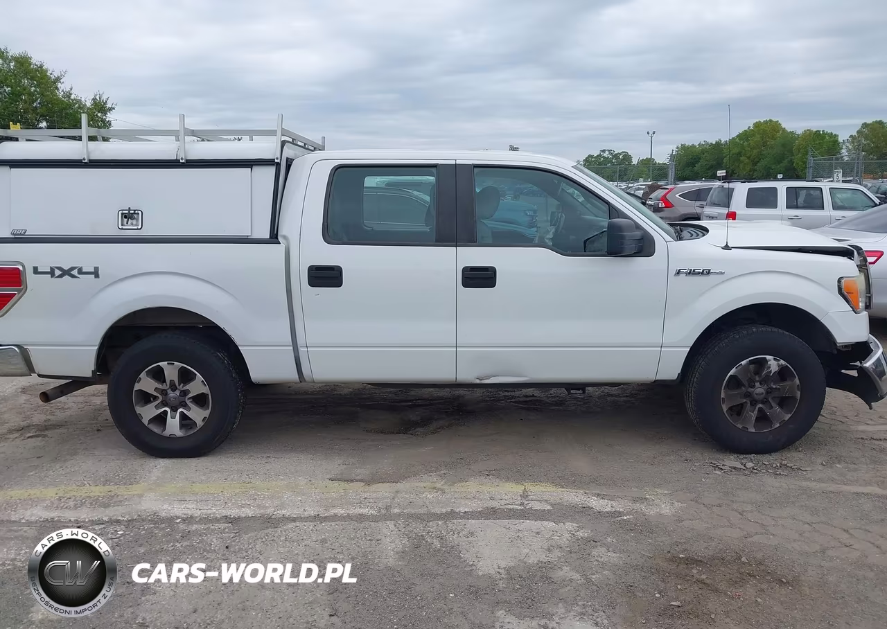 2013 Ford F-150 Xl VIN:1FTFW1EFXDKE14229 - 13