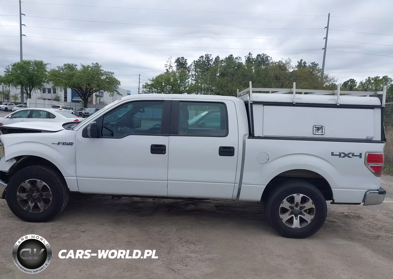 2013 Ford F-150 Xl VIN:1FTFW1EFXDKE14229 - 14