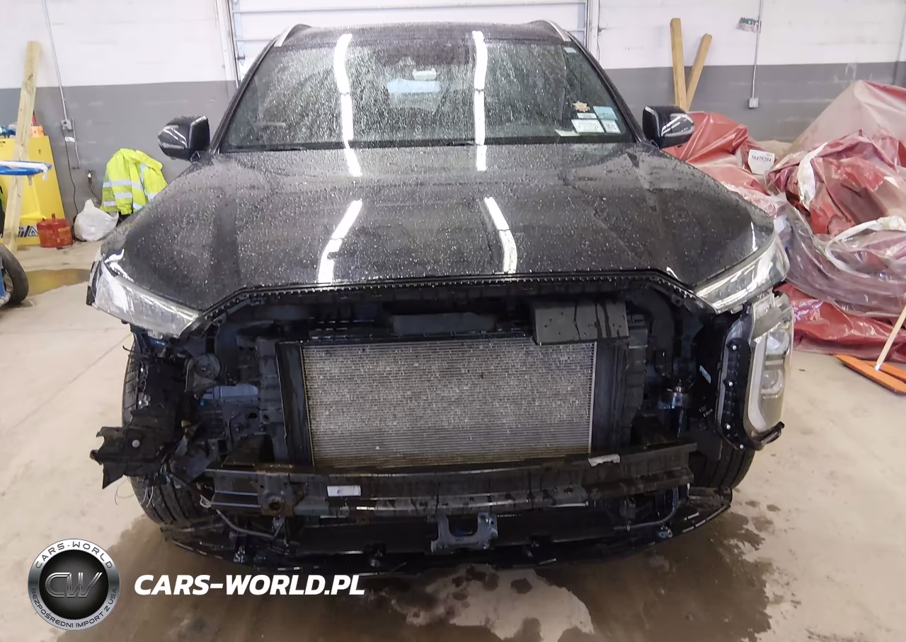 2020 Hyundai Palisade Limited VIN:KM8R5DHE6LU046537 - 12
