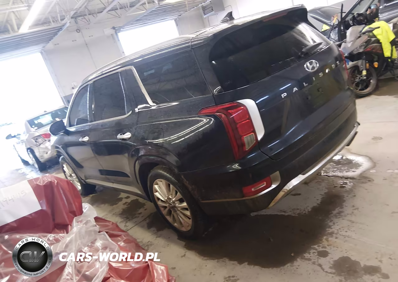 2020 Hyundai Palisade Limited VIN:KM8R5DHE6LU046537 - 14