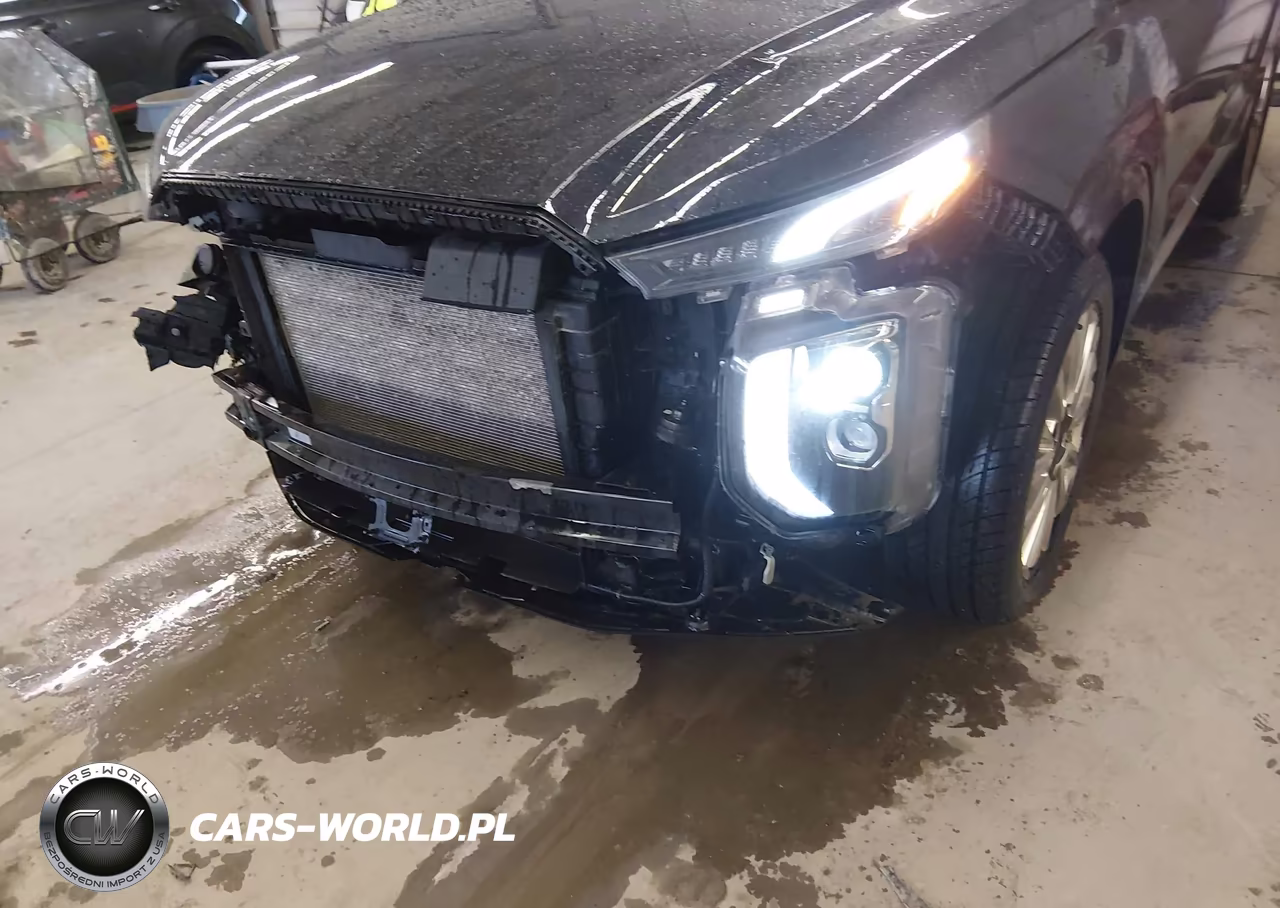 2020 Hyundai Palisade Limited VIN:KM8R5DHE6LU046537 - 20