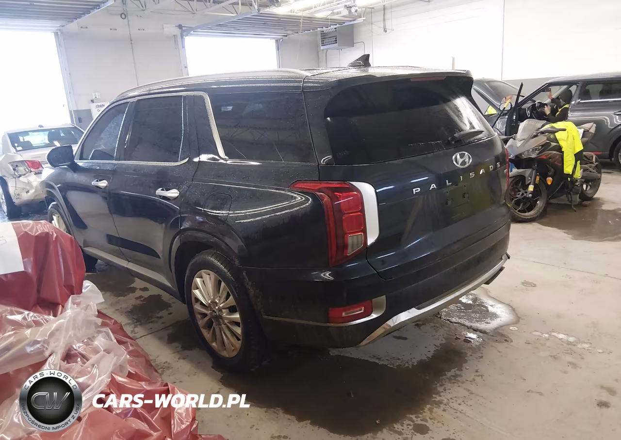2020 Hyundai Palisade Limited VIN:KM8R5DHE6LU046537 - 3
