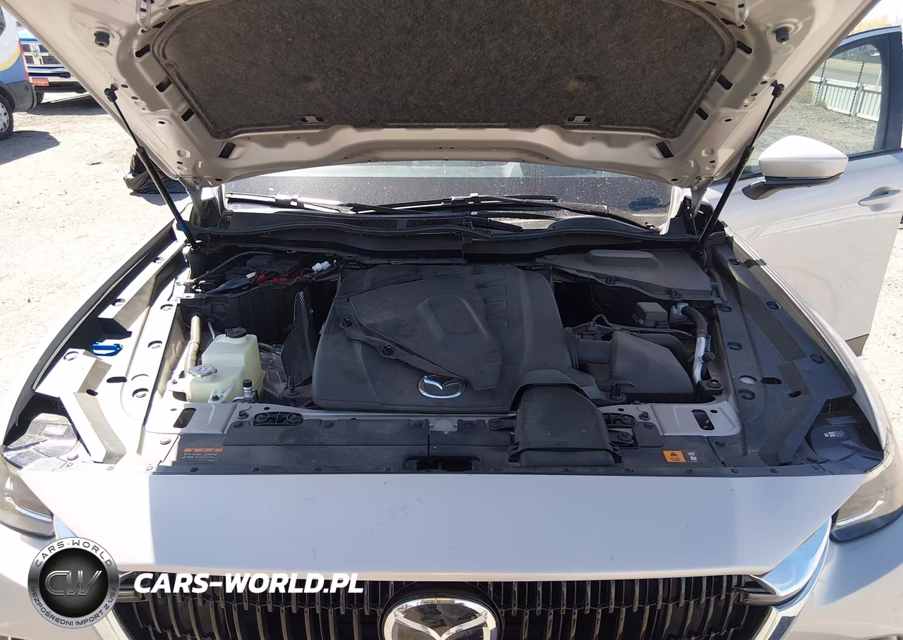 2024 Mazda Cx-90 Phev Premium Plus VIN:JM3KKEHA0R1160682 - 10