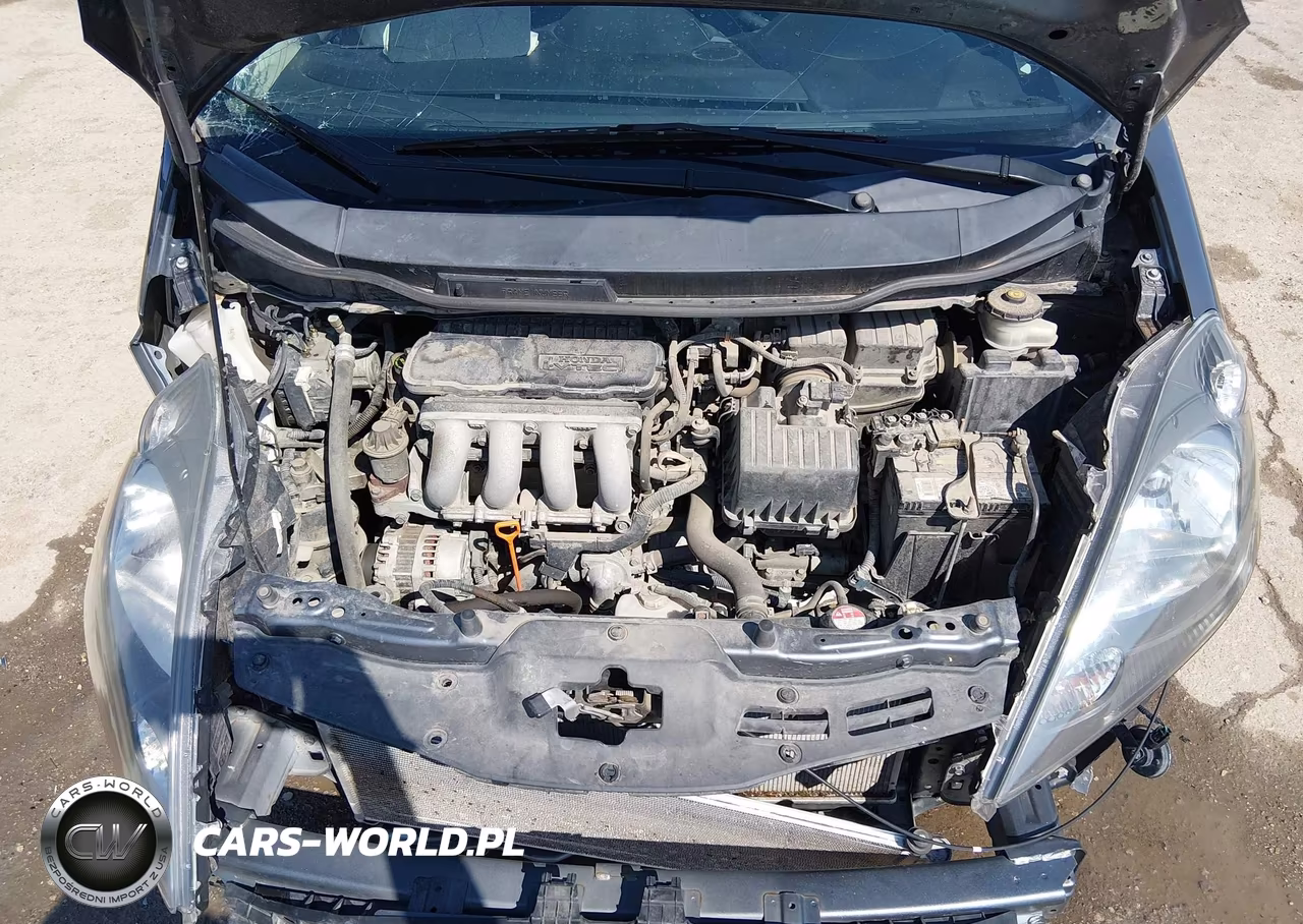 2013 Honda Fit VIN:JHMGE8H30DC013458 - 10