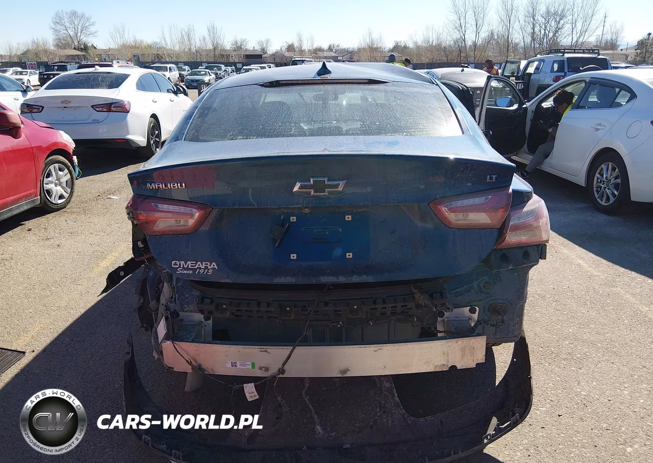 2019 Chevrolet Malibu Lt VIN:1G1ZD5ST1KF176063 - 17