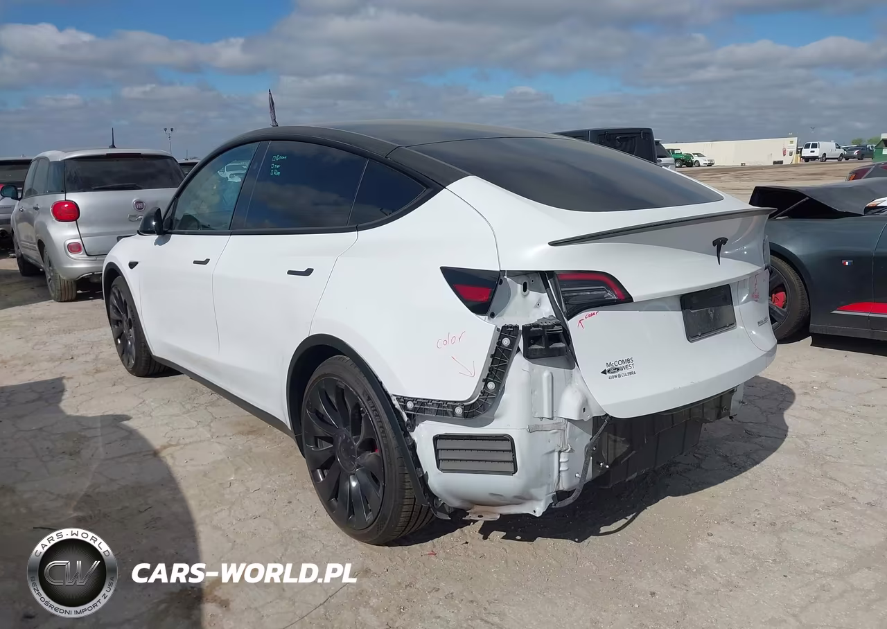 2023 Tesla Model Y Performance Dual Motor All-Wheel Drive VIN:7SAYGDEFXPF800354 - 3