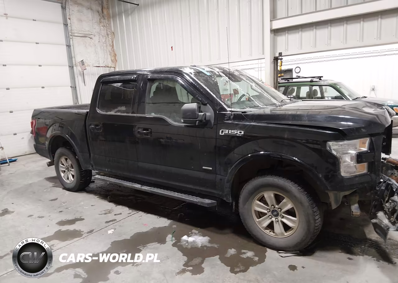 2017 Ford F-150 Xlt VIN:1FTEW1EG5HFB14696 - 13