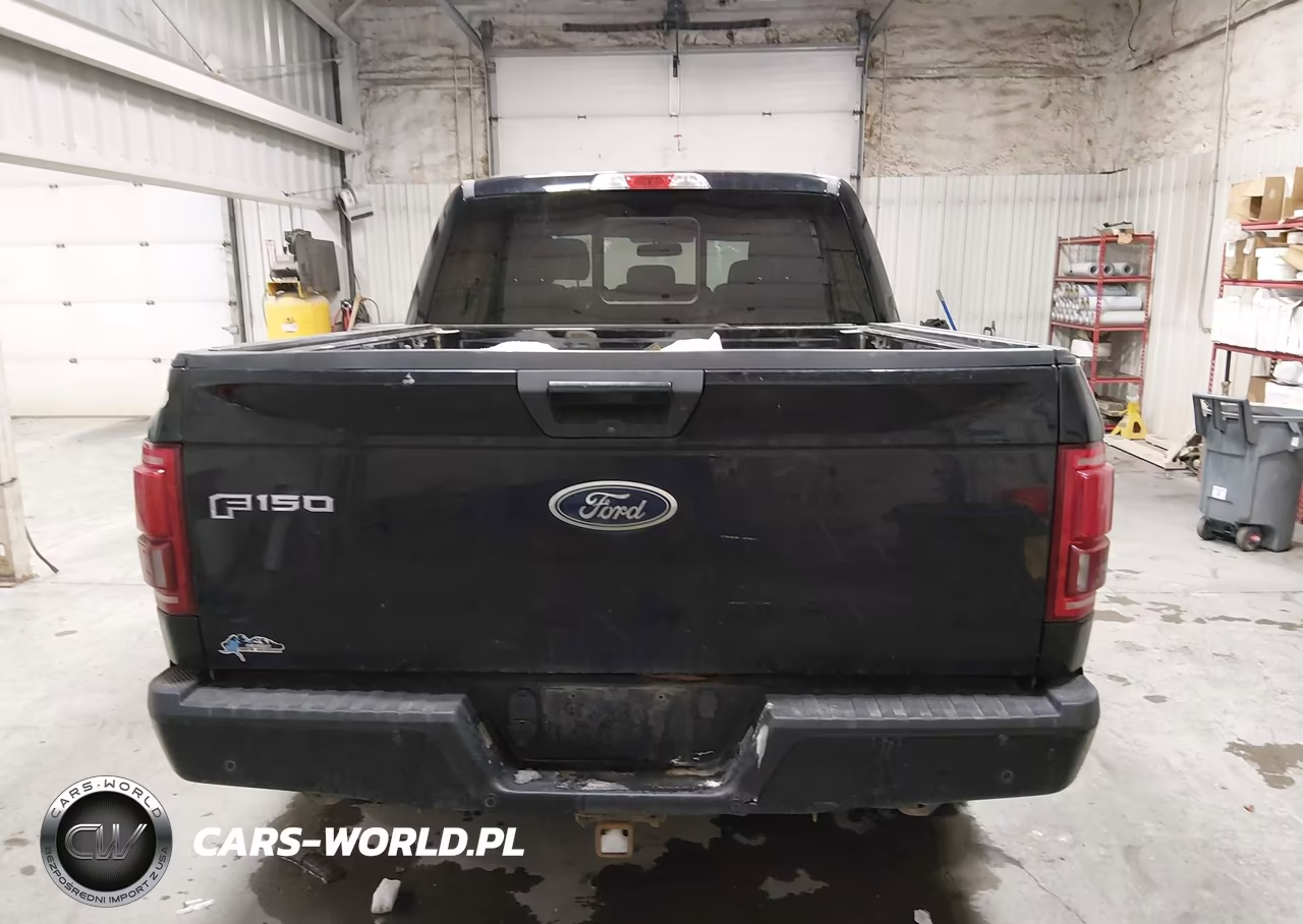 2017 Ford F-150 Xlt VIN:1FTEW1EG5HFB14696 - 16