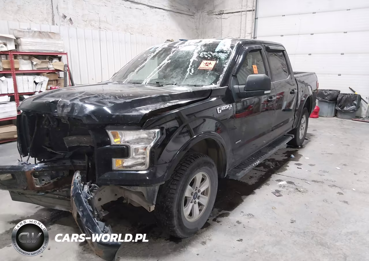 2017 Ford F-150 Xlt VIN:1FTEW1EG5HFB14696 - 2