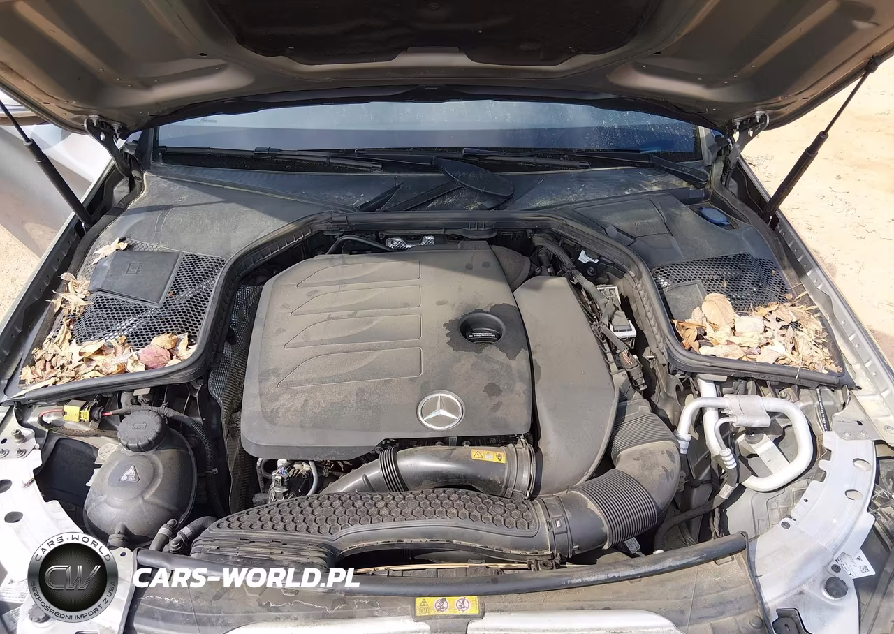 2019 Mercedes-Benz C 300 4Matic VIN:55SWF8EB5KU320435 - 10