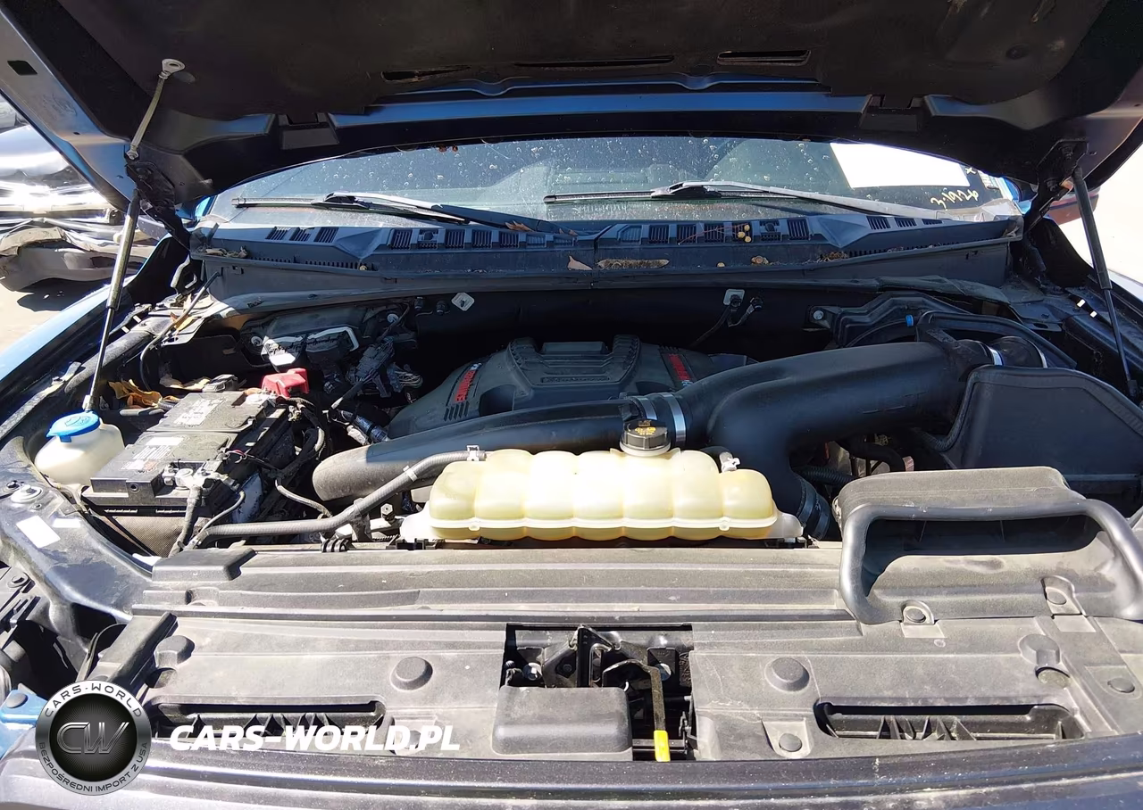2019 Ford F-150 Raptor VIN:1FTFW1RG7KFC17110 - 10