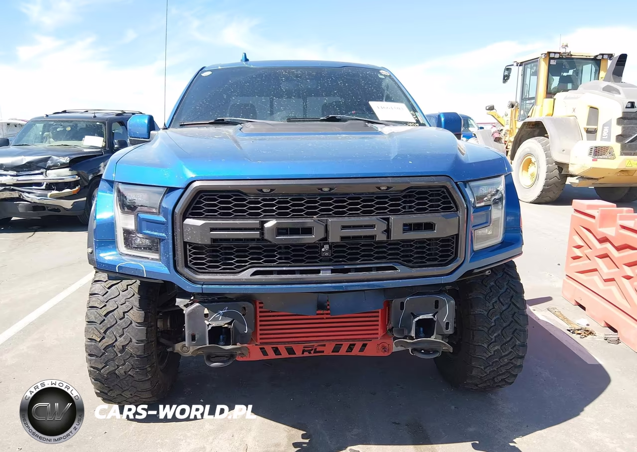 2019 Ford F-150 Raptor VIN:1FTFW1RG7KFC17110 - 13