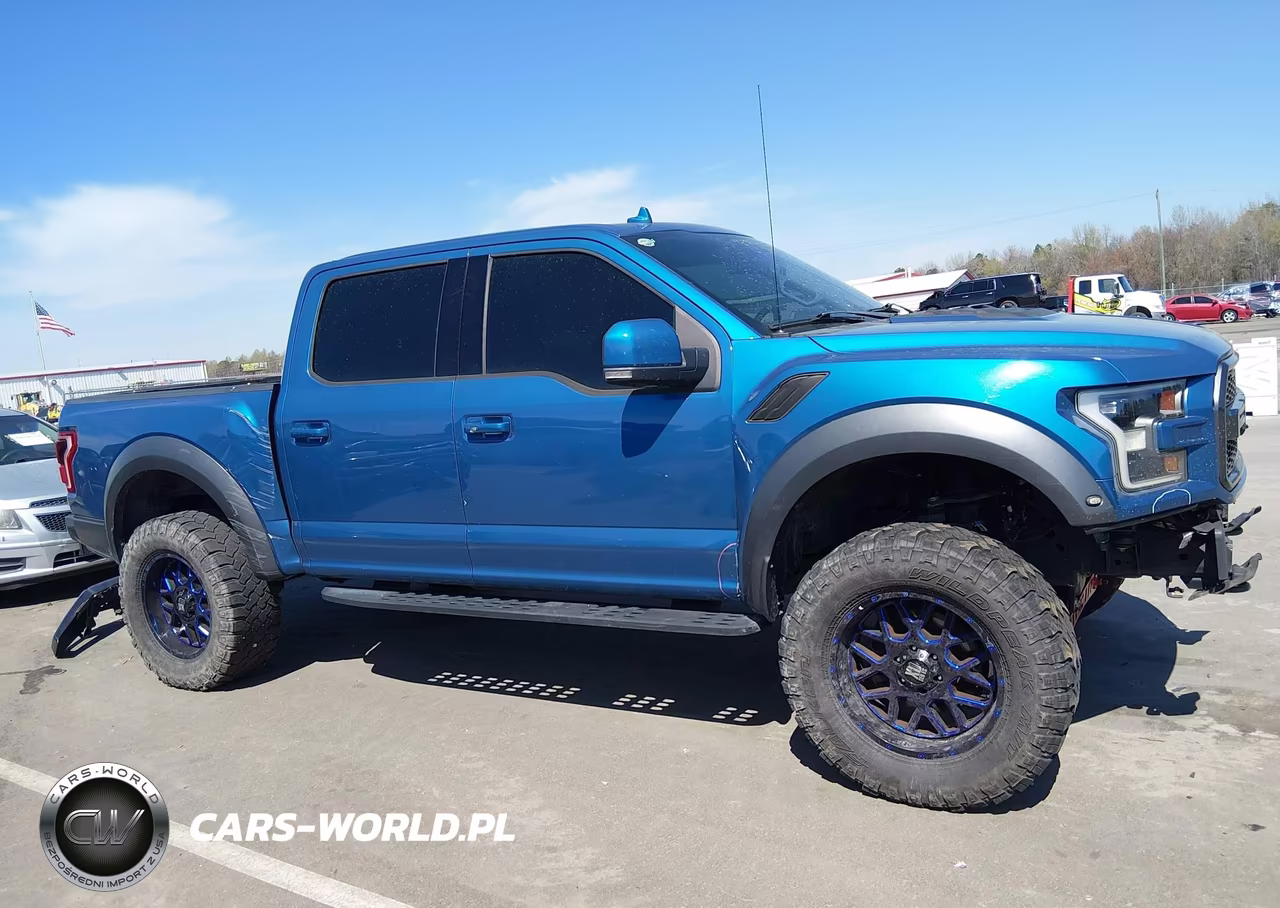 2019 Ford F-150 Raptor VIN:1FTFW1RG7KFC17110 - 14