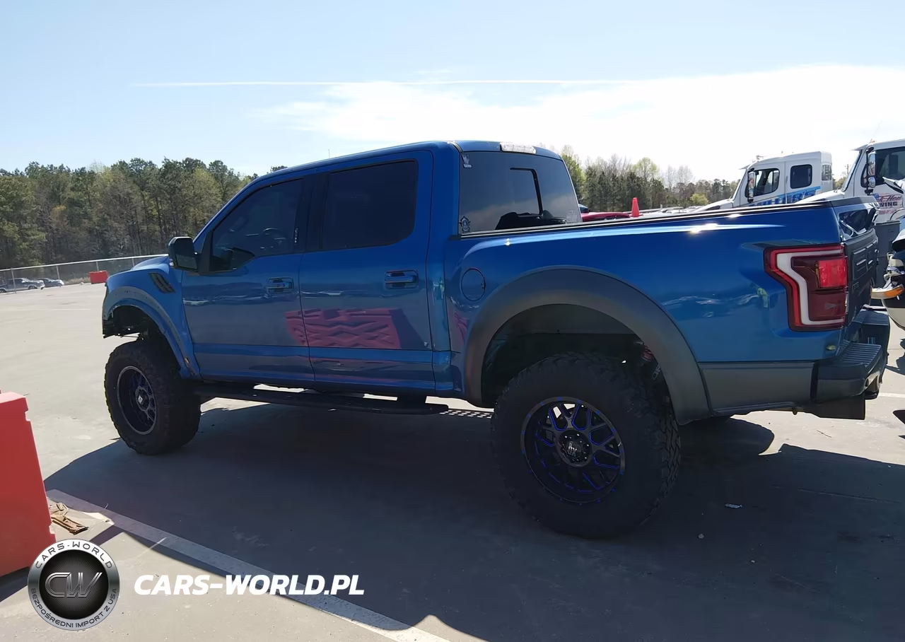 2019 Ford F-150 Raptor VIN:1FTFW1RG7KFC17110 - 15