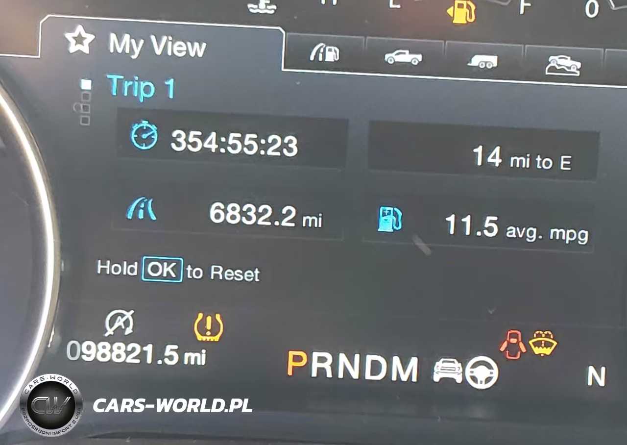 2019 Ford F-150 Raptor VIN:1FTFW1RG7KFC17110 - 16