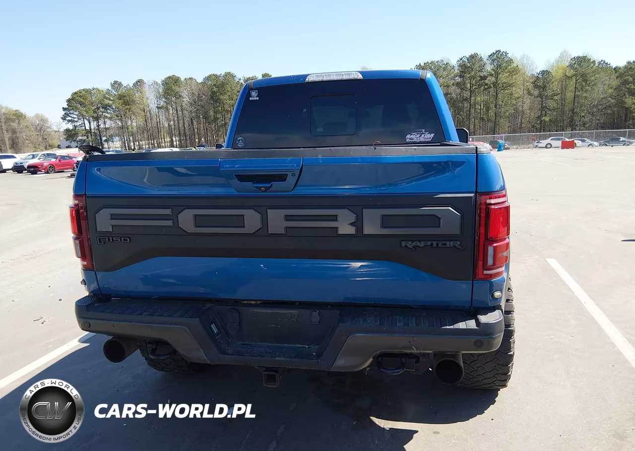 2019 Ford F-150 Raptor VIN:1FTFW1RG7KFC17110 - 17