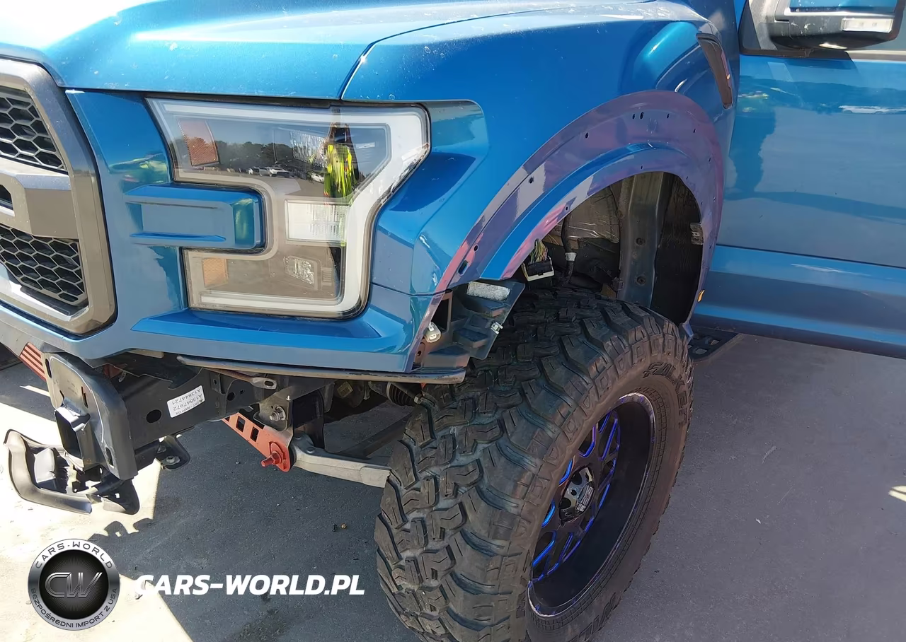 2019 Ford F-150 Raptor VIN:1FTFW1RG7KFC17110 - 18
