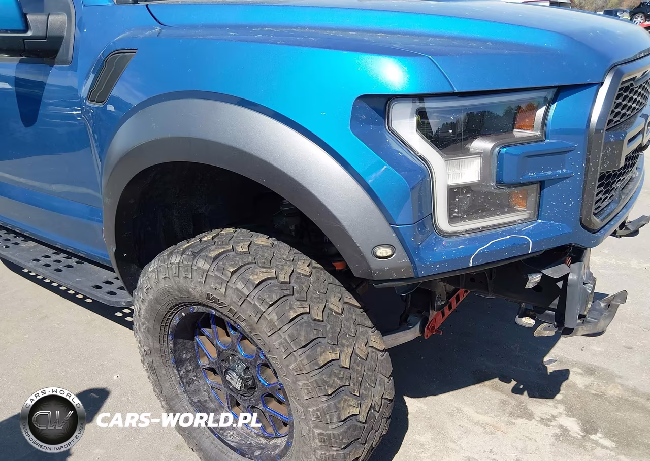 2019 Ford F-150 Raptor VIN:1FTFW1RG7KFC17110 - 19