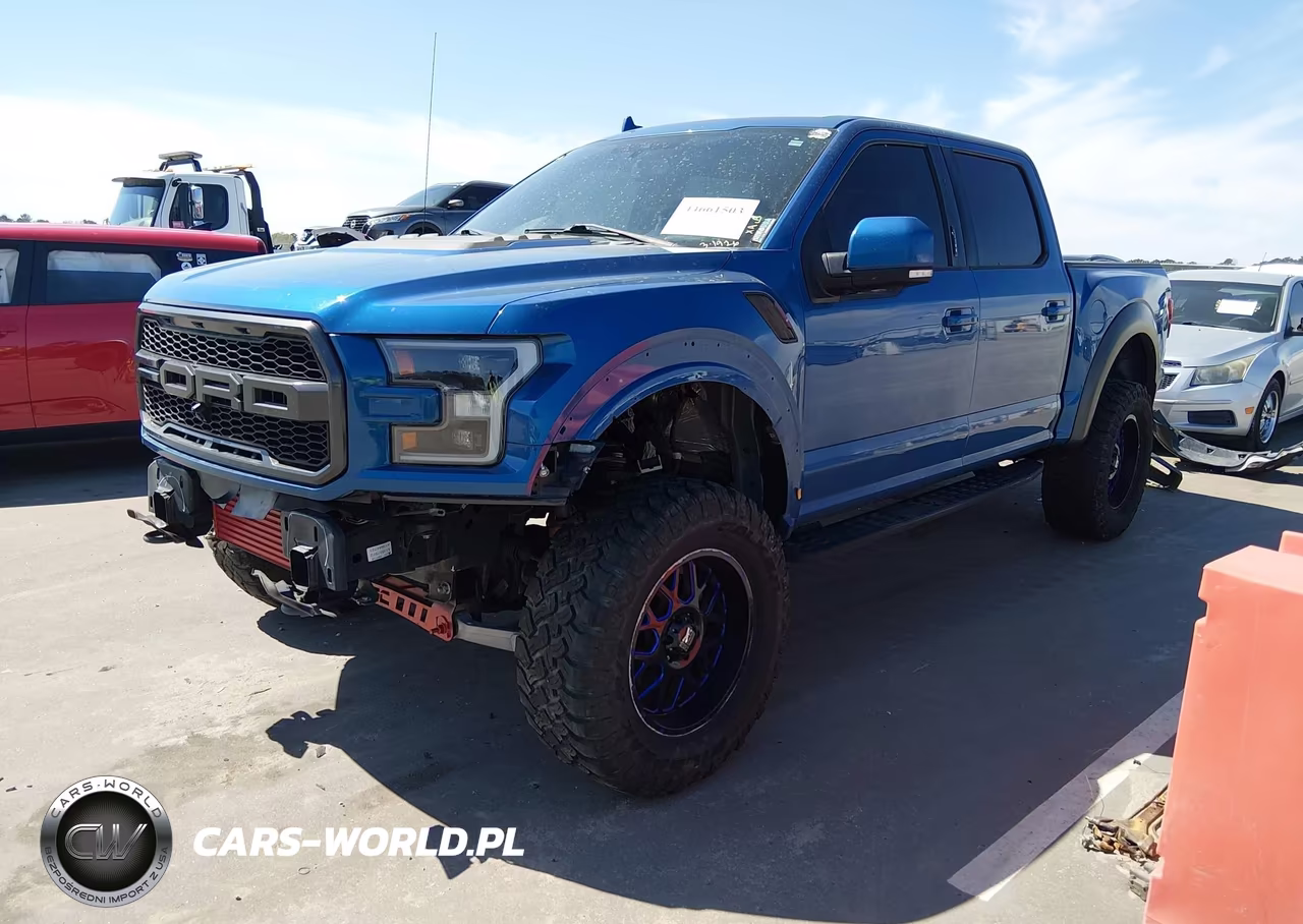 2019 Ford F-150 Raptor VIN:1FTFW1RG7KFC17110 - 2