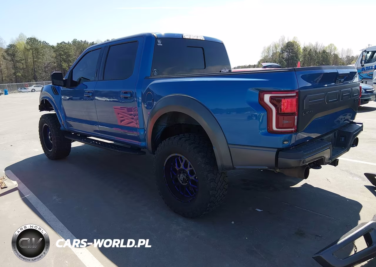 2019 Ford F-150 Raptor VIN:1FTFW1RG7KFC17110 - 3