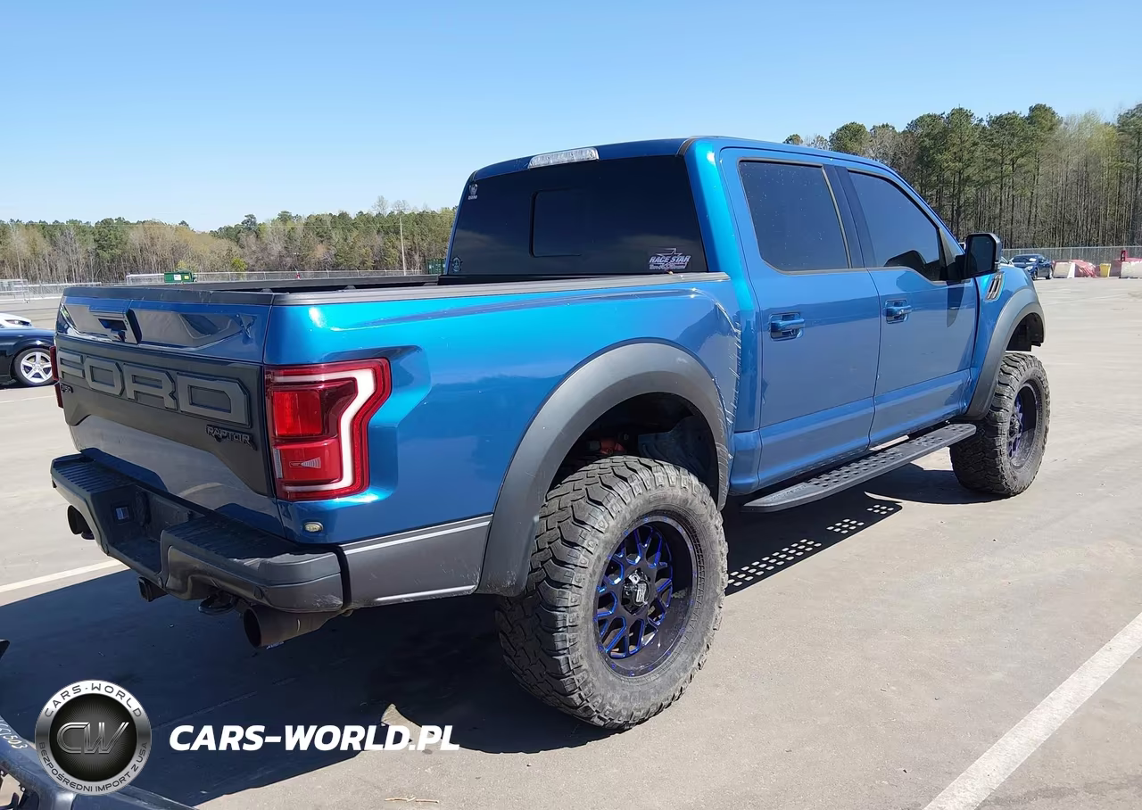 2019 Ford F-150 Raptor VIN:1FTFW1RG7KFC17110 - 4