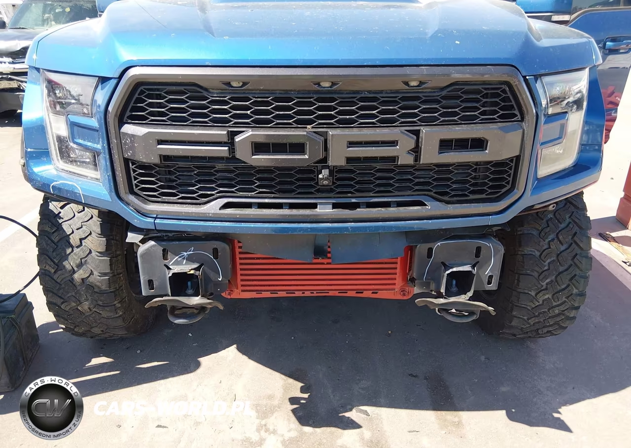 2019 Ford F-150 Raptor VIN:1FTFW1RG7KFC17110 - 6