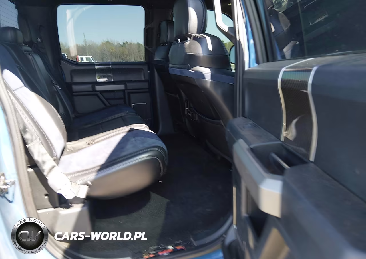 2019 Ford F-150 Raptor VIN:1FTFW1RG7KFC17110 - 8