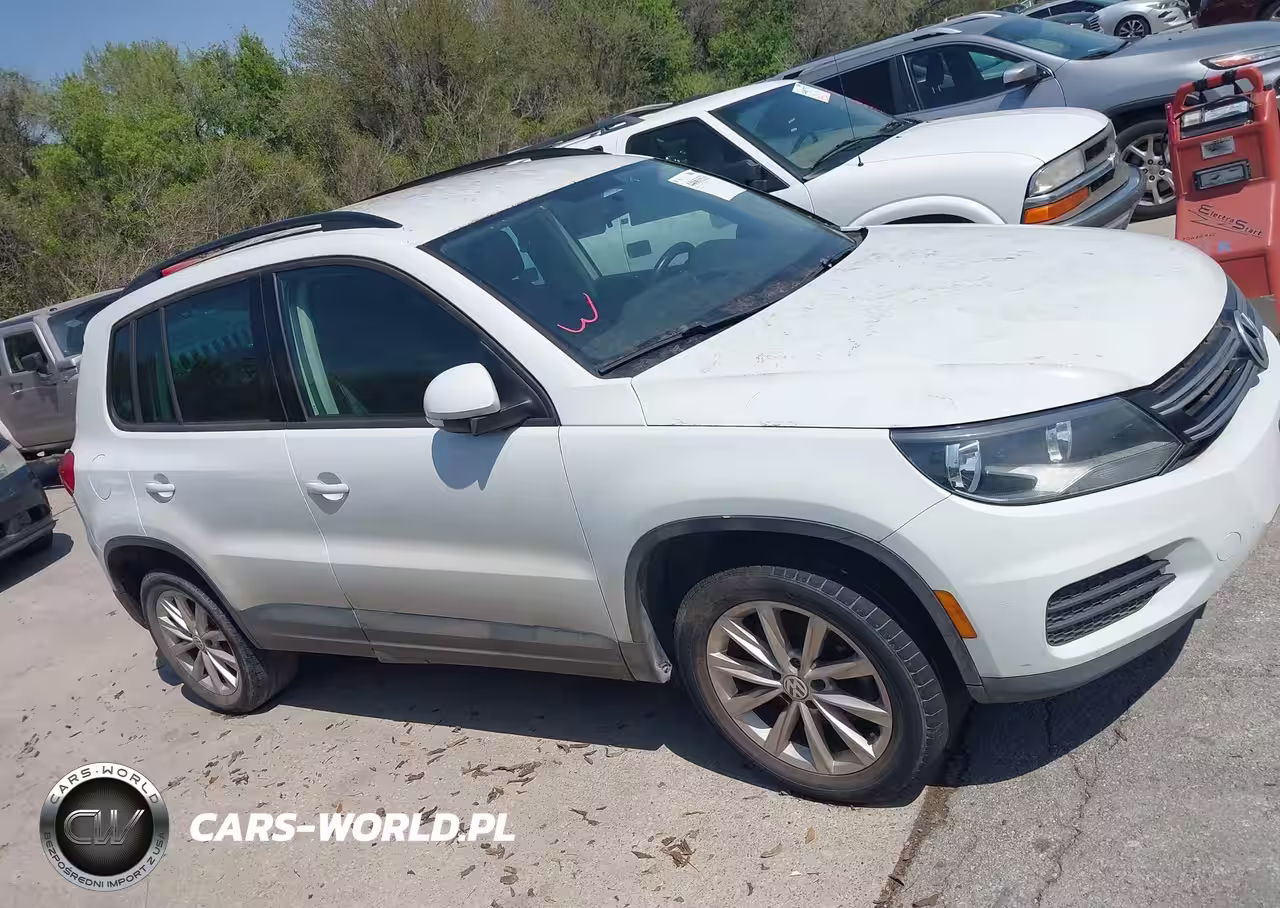 2015 Volkswagen Tiguan Se VIN:WVGAV7AX1FW575462 - 13