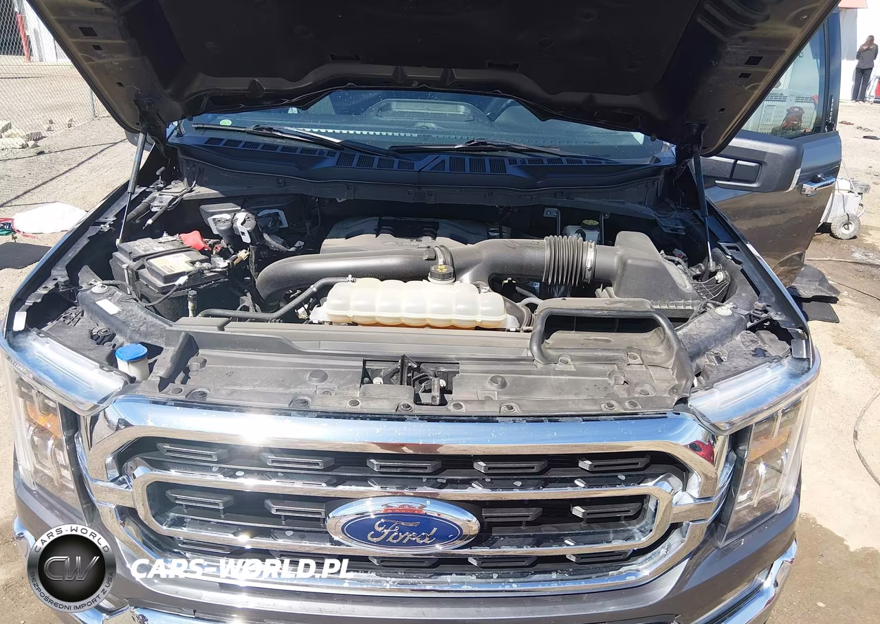 2021 Ford F-150 Xlt VIN:1FTFW1E87MFB27652 - 10