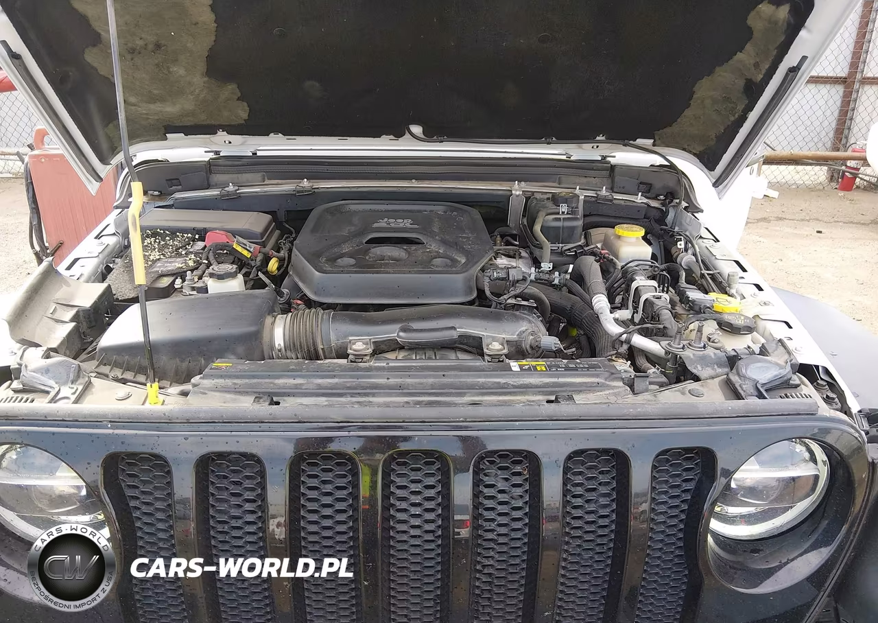 2020 Jeep Wrangler Unlimited Willys 4X4 VIN:1C4HJXDN5LW346206 - 10