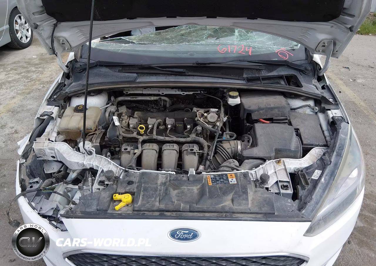 2018 Ford Focus Sel VIN:1FADP3M20JL326705 - 10