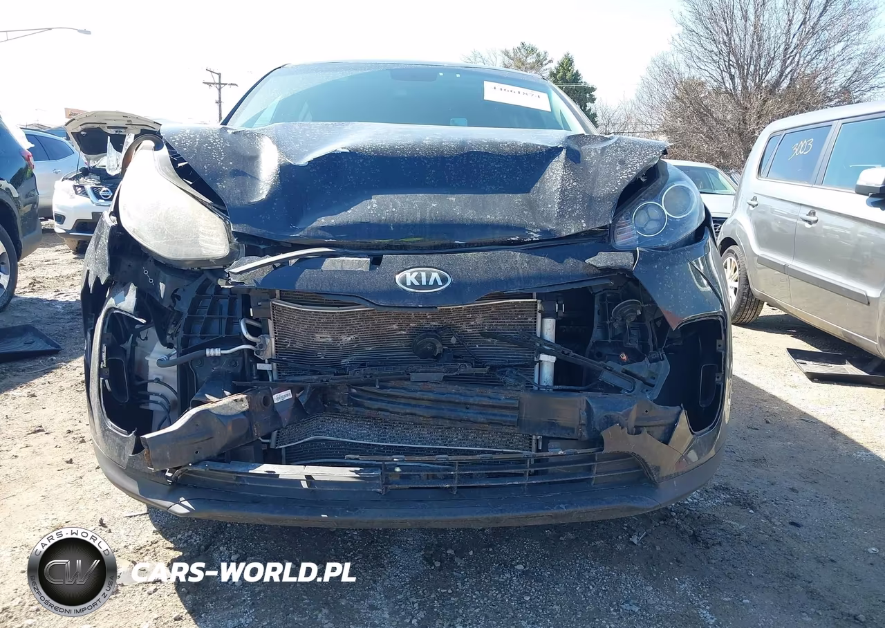 2019 Kia Sportage Lx VIN:KNDPM3AC1K7610027 - 12