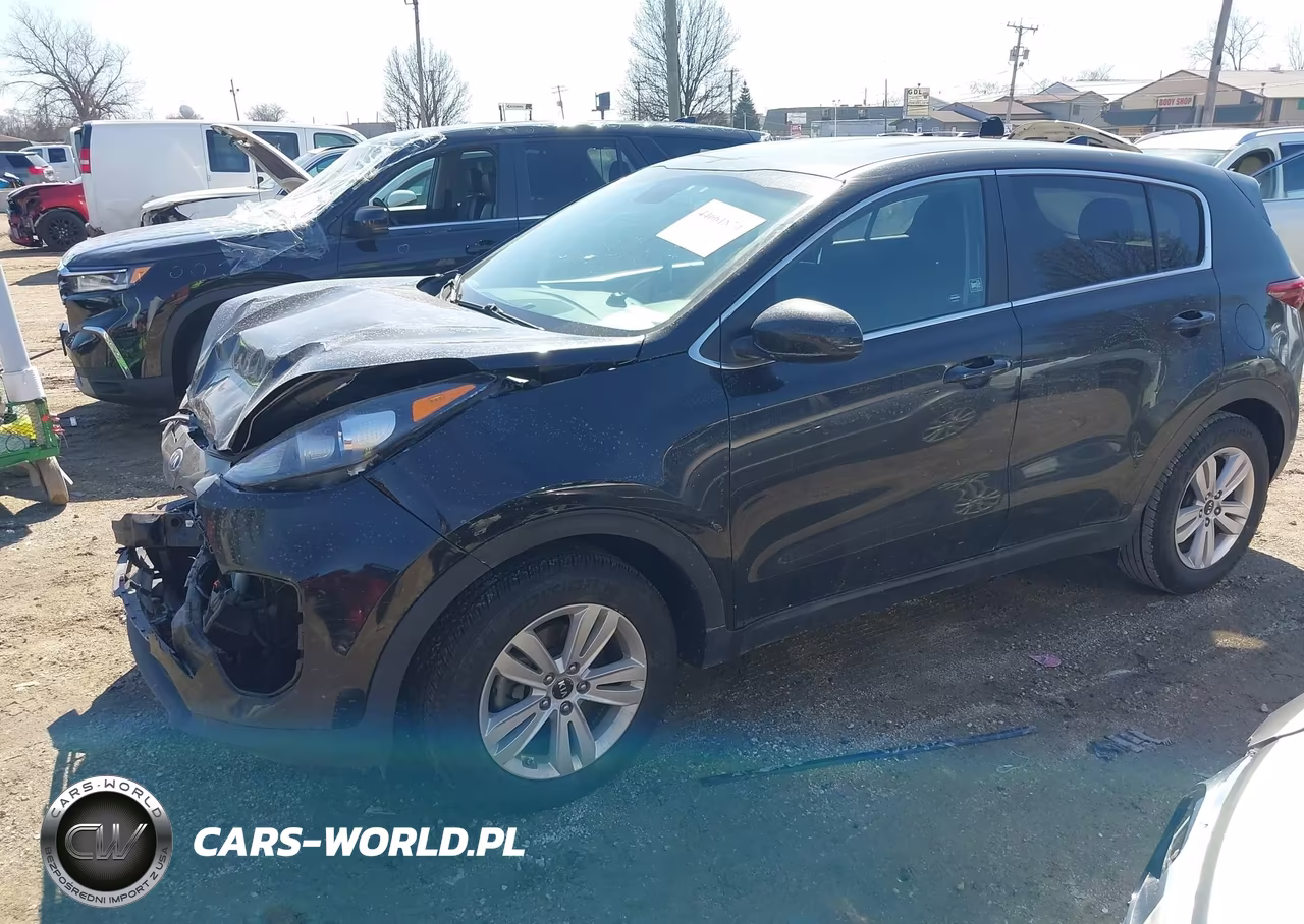 2019 Kia Sportage Lx VIN:KNDPM3AC1K7610027 - 2