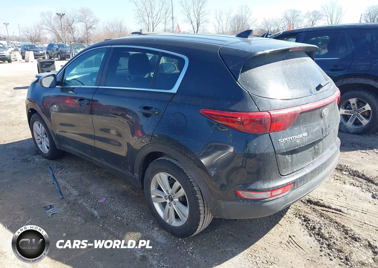 2019 Kia Sportage Lx VIN:KNDPM3AC1K7610027 - 3