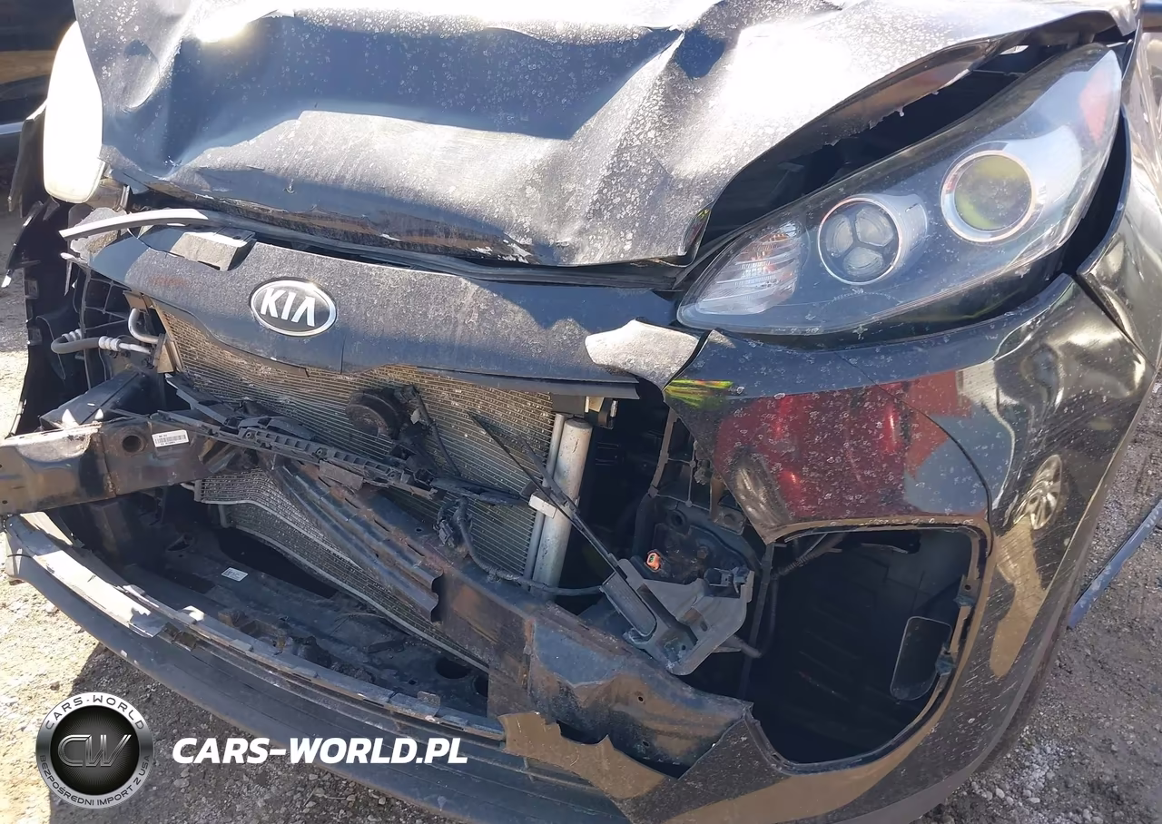 2019 Kia Sportage Lx VIN:KNDPM3AC1K7610027 - 6