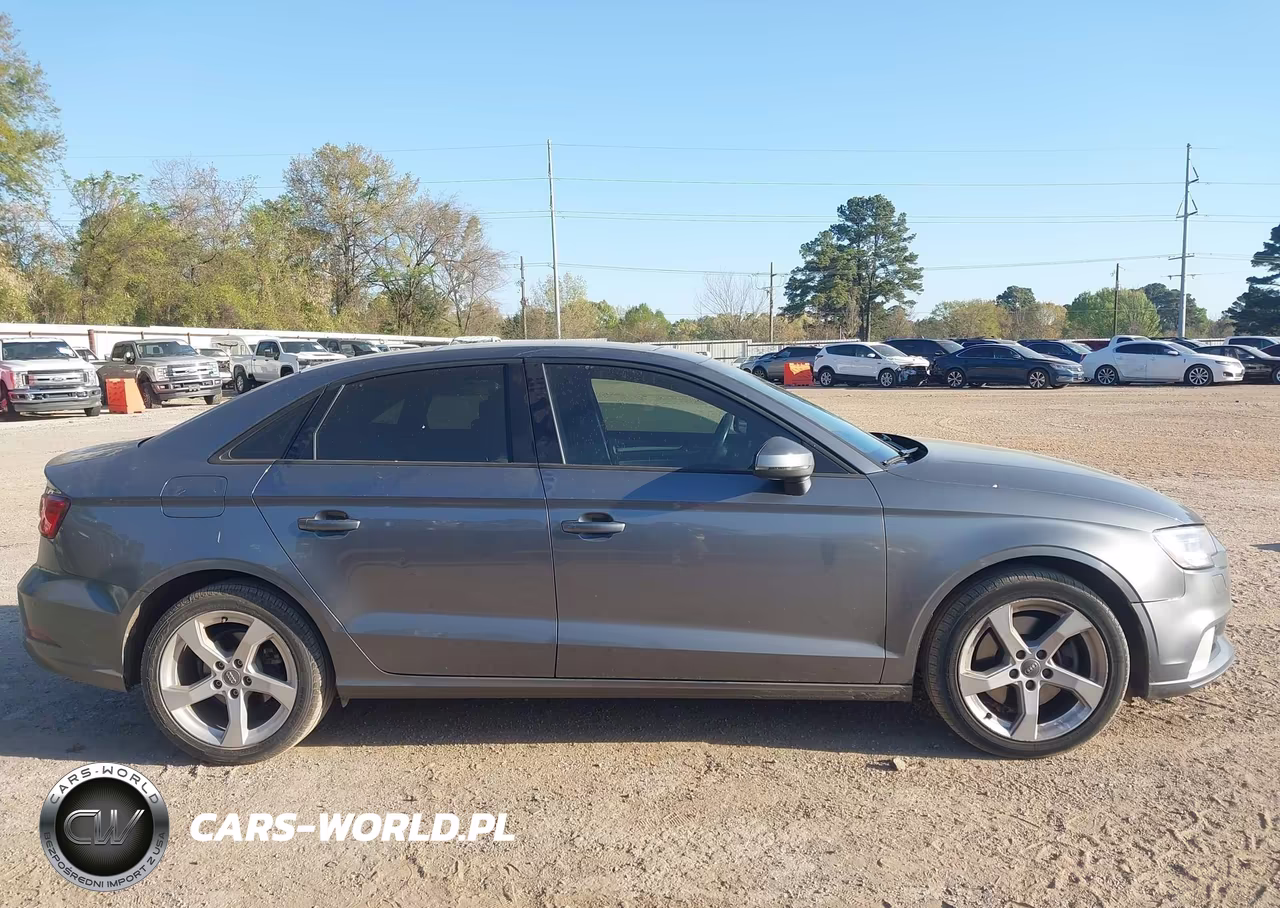 2019 Audi A3 40 Premium-40 Titanium Premium VIN:WAUAUHFF4KA077161 - 13