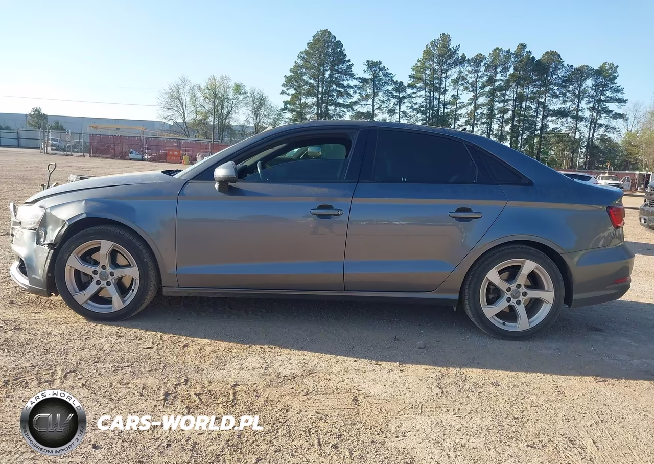 2019 Audi A3 40 Premium-40 Titanium Premium VIN:WAUAUHFF4KA077161 - 14