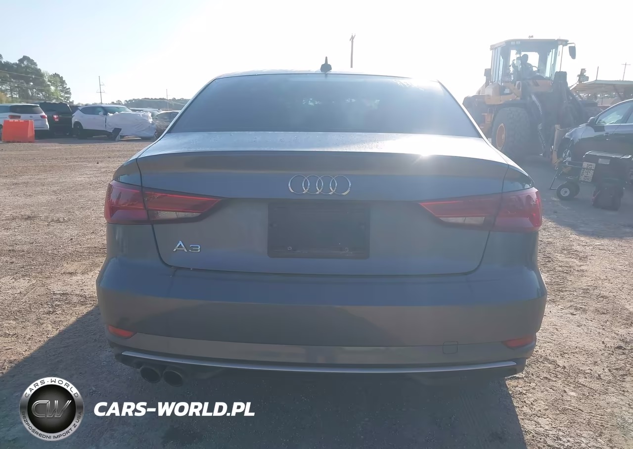 2019 Audi A3 40 Premium-40 Titanium Premium VIN:WAUAUHFF4KA077161 - 16