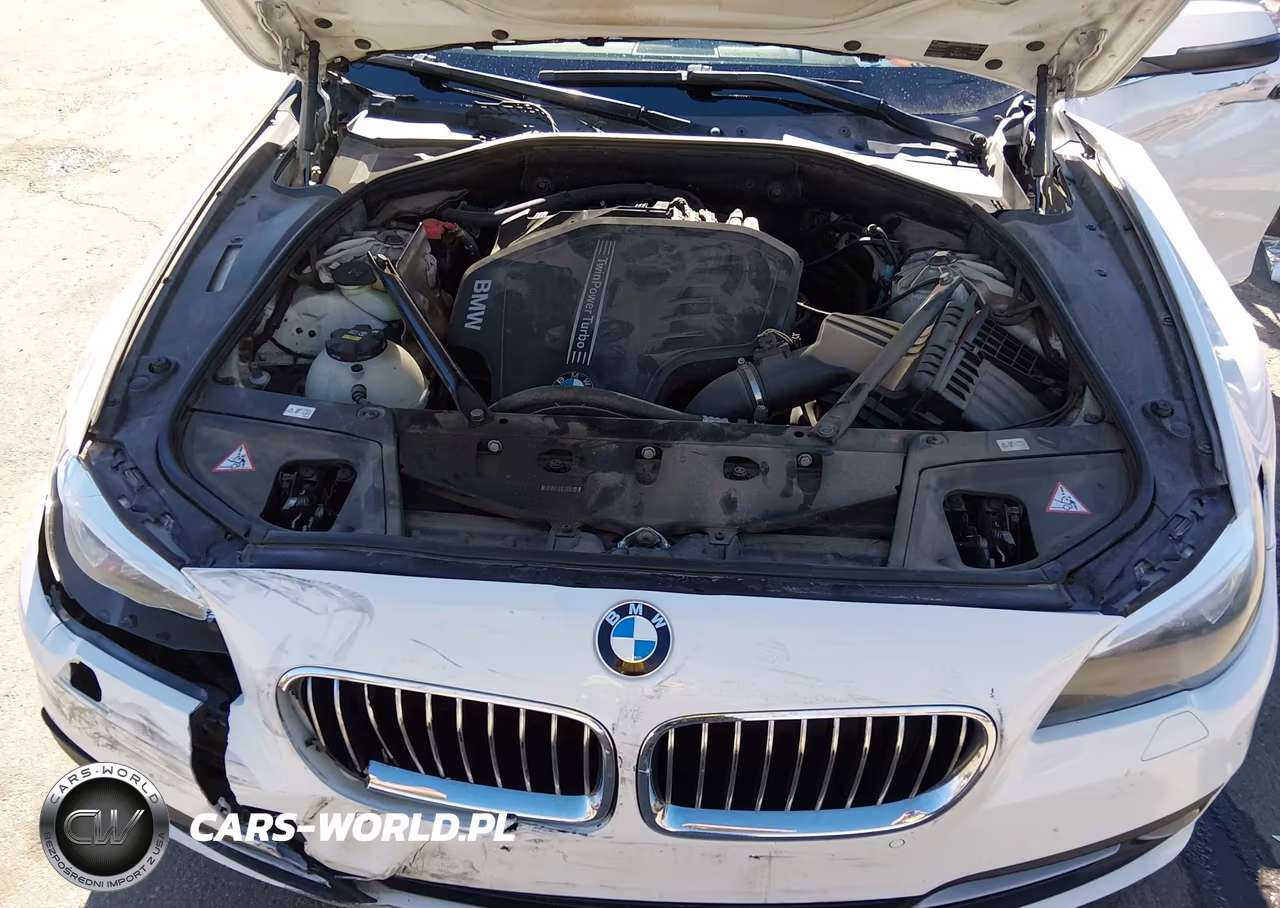 2015 BMW 528I VIN:WBA5A5C5XFD513603 - 10