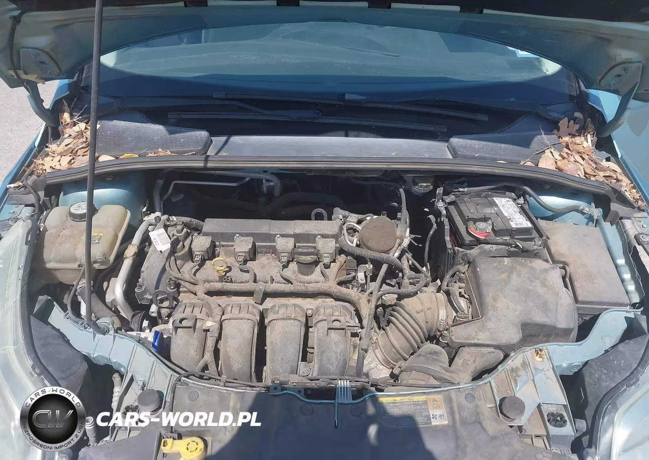 2012 Ford Focus Sel VIN:1FAHP3M23CL262034 - 10