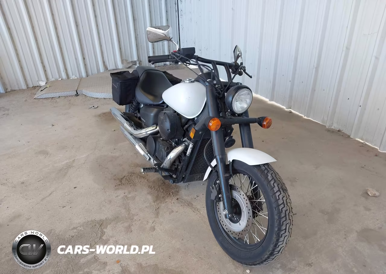 2019 Honda Vt750 C2B