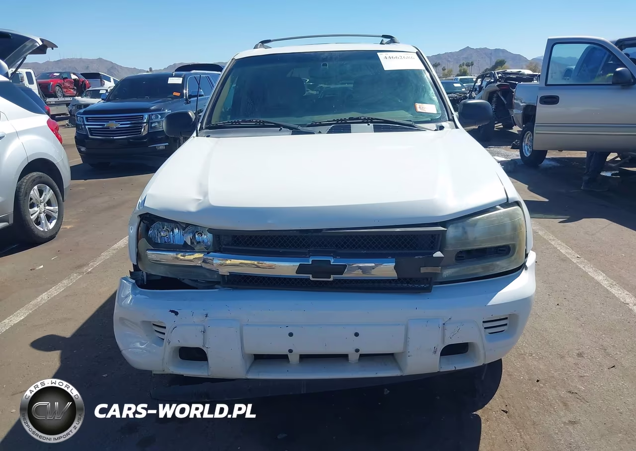 2003 Chevrolet Trailblazer Ls VIN:1GNDS13S032146462 - 12