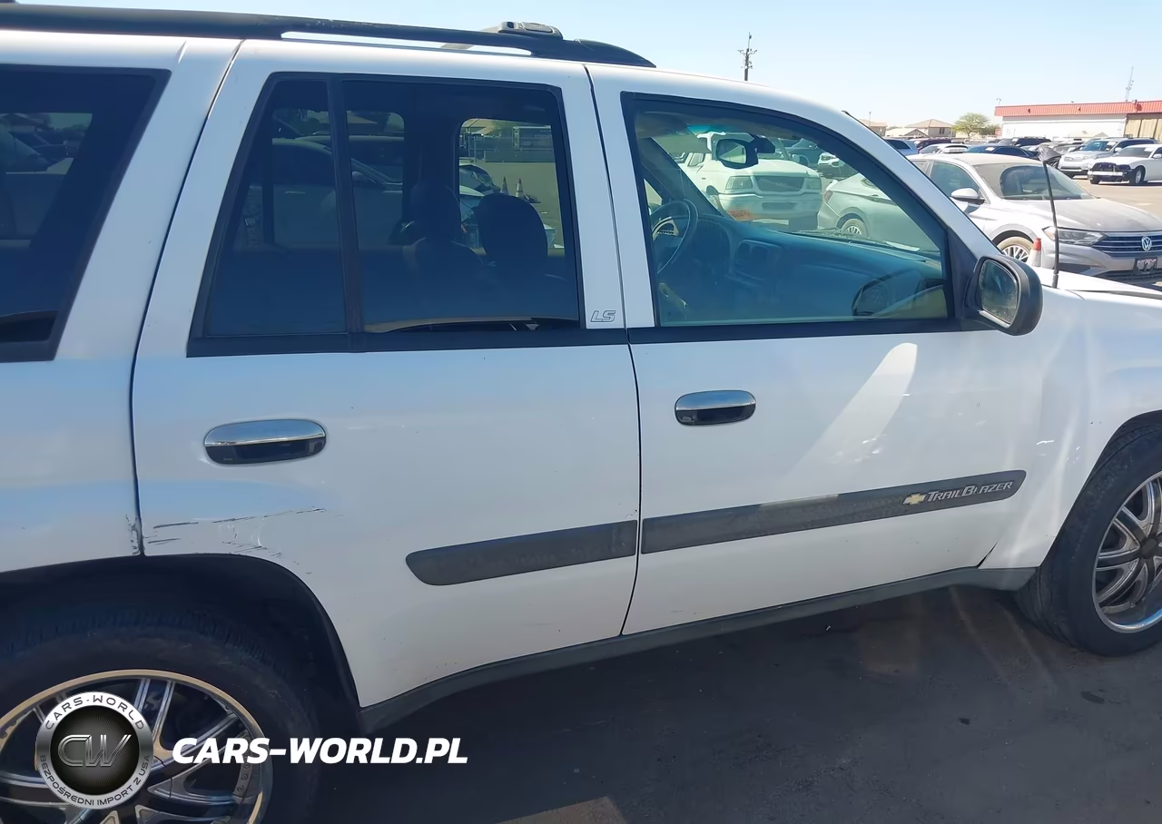 2003 Chevrolet Trailblazer Ls VIN:1GNDS13S032146462 - 13