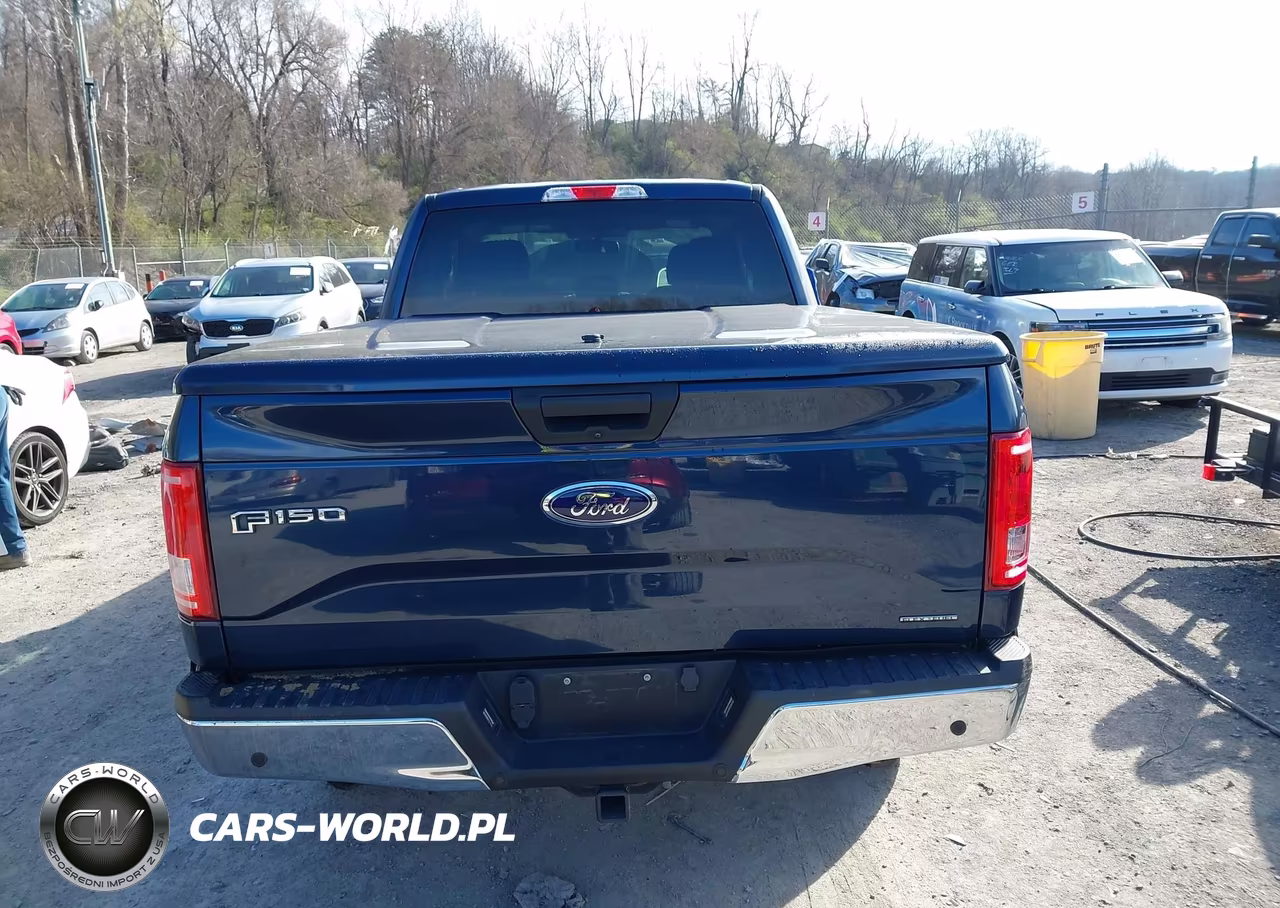 2015 Ford F-150 Xlt VIN:1FTFX1EF3FFA85477 - 16