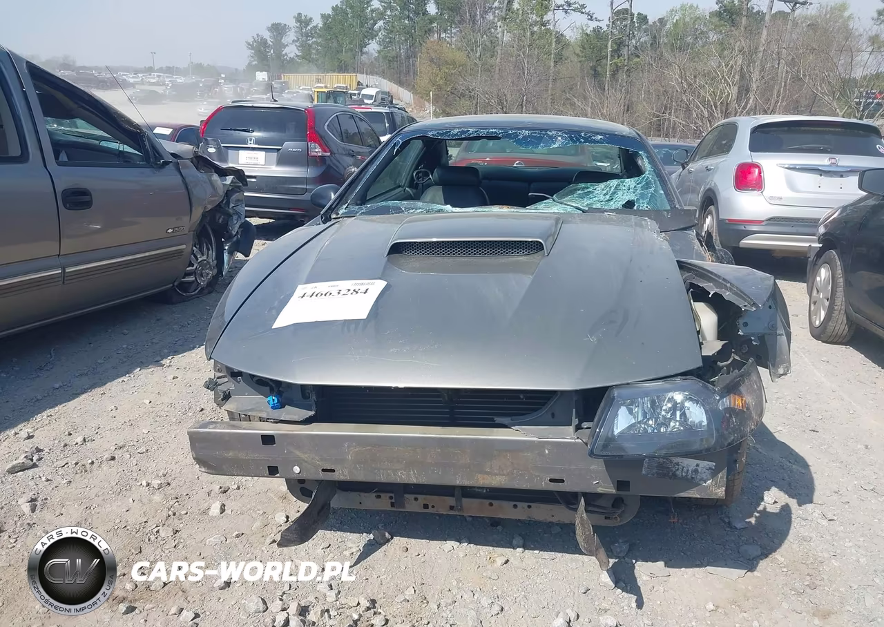 2002 Ford Mustang Gt VIN:1FAFP42X92F236367 - 12